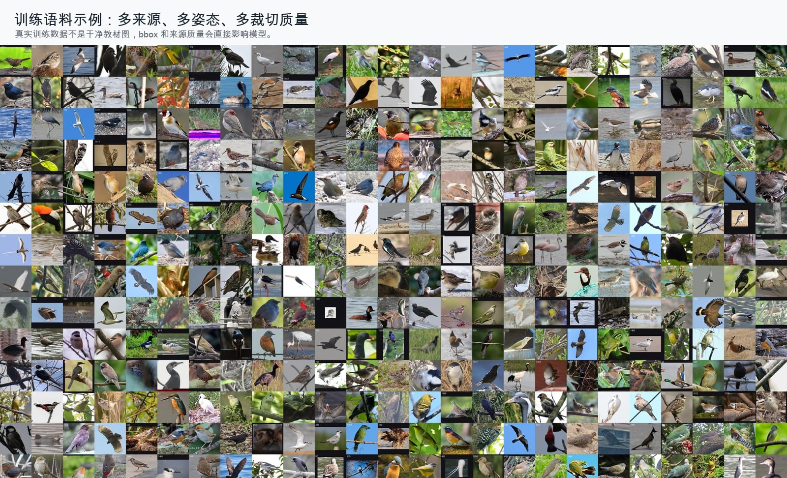 训练数据并不是干净教材图，而是来自多个来源、多个裁切标准的真实图片集合
